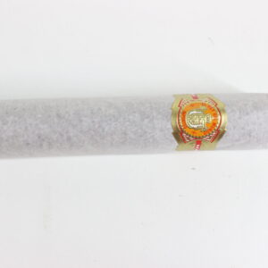 El Rey del Mundo Robusto